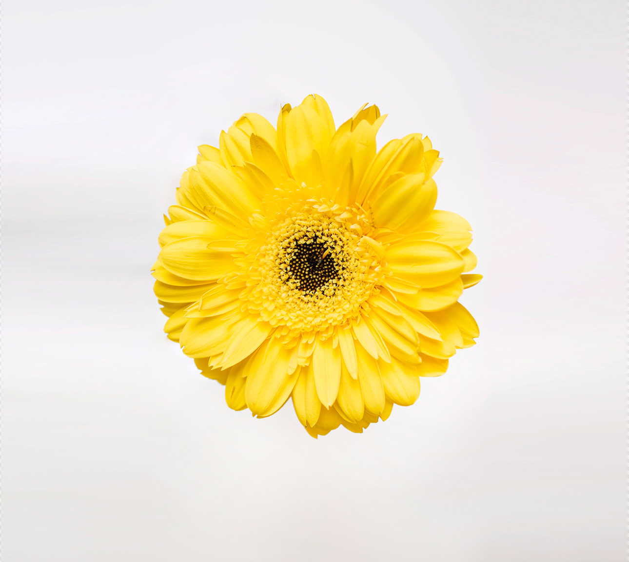 Mother's Day Gift Guide